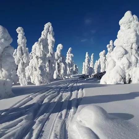 Apartment Old Holmila-old Manor Holmila The Lure Of Lapland
